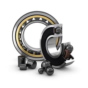 Ceramic Roller Bearings